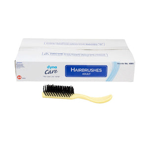 Adult Hairbrushes, Bone, 12/24/cs Adult Hairbrushes, Bone, 12/24/cs