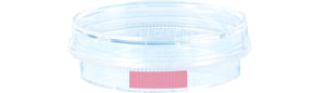Tissue culture dish, (xH): 35 x 10 mm, surface: Standard Tissue culture dish, (xH): 35 x 10 mm, surface: Standard