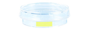 Tissue culture dish, (xH): 35 x 10 mm, surface: Cell+ Tissue culture dish, (xH): 35 x 10 mm, surface: Cell+