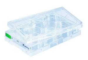 Cell culture plate, 6 well, surface: Suspension, flat base Cell culture plate, 6 well, surface: Suspension, flat base