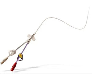 BD BARD POWERPICC® CATHETER BD BARD POWERPICC® CATHETER