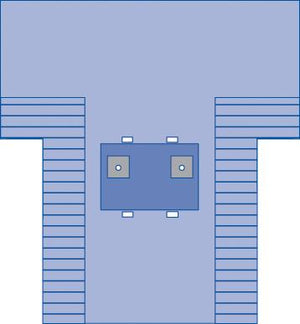 Bilateral Limb T-Drape, Sterile Bilateral Limb T-Drape, Sterile