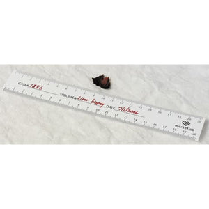 Bio-Ruler • Paper • 20 Pads Bio-Ruler • Paper • 20 Pads