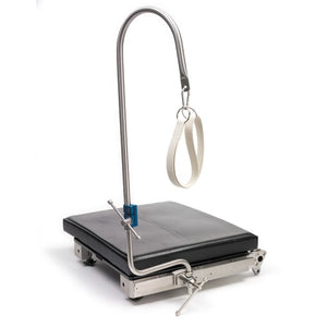 Candy Cane Stirrup Candy Cane Stirrup