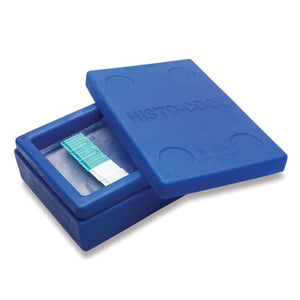 Large • Blue • 12.5"L x 8.5"W x 4"H Large • Blue • 12.5"L x 8.5"W x 4"H