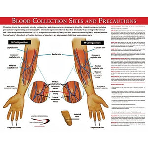 Blood Collection Sites Poster • 17"W x 22"H Blood Collection Sites Poster • 17"W x 22"H