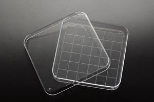Petri Dish, 15 x 90 x 90mm, 10/slv Petri Dish, 15 x 90 x 90mm, 10/slv