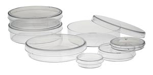Petri Dish, 8 x 50mm Petri Dish, 8 x 50mm