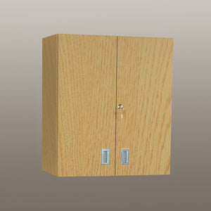 Health Care Logistics Wall Cabinet with Locking Doors, 24 Inch - 5095WW Health Care Logistics Wall Cabinet with Locking Doors, 24 Inch - 5095WW