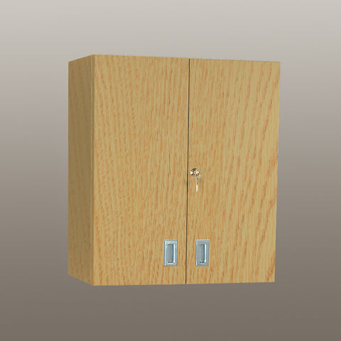 Wall Cabinet with Locking Doors, 24 Inch - 5095EI