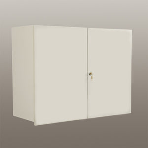 Health Care Logistics Wall Cabinet with Locking Overhang Doors, 36 Inch - Beige Health Care Logistics Wall Cabinet with Locking Overhang Doors, 36 Inch - Beige