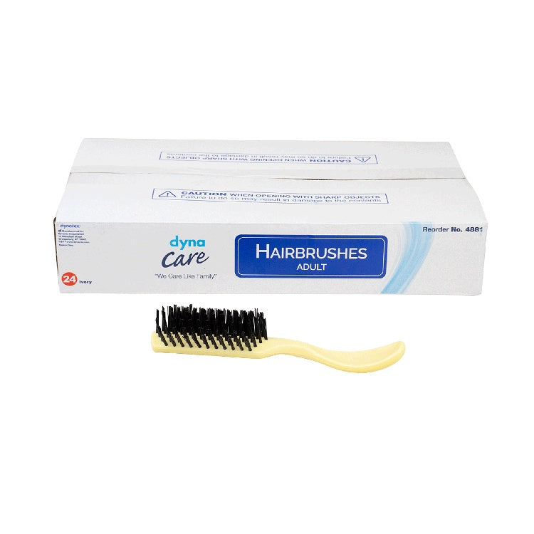 Adult Hairbrushes, Bone, 12/24/cs
