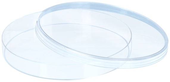Petri dish, 150 x 20 mm, transparent, with ventilation cams
