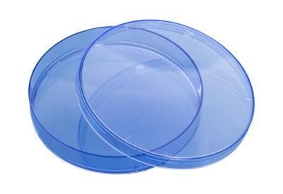 Petri dish, 92 x 16 mm, blue, with ventilation cams