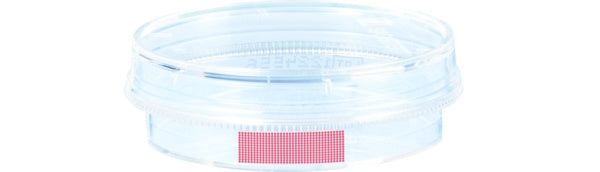 Tissue culture dish, (xH): 35 x 10 mm, surface: Standard