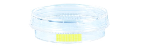 Tissue culture dish, (xH): 35 x 10 mm, surface: Cell+