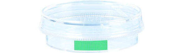 Tissue culture dish, (xH): 35 x 10 mm, surface: Suspension