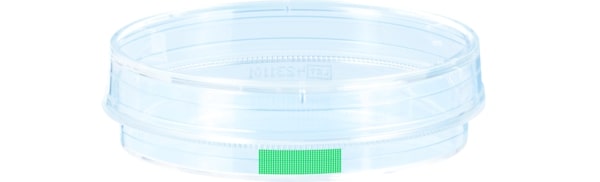 Tissue culture dish, (xH): 60 x 15 mm, surface: Suspension