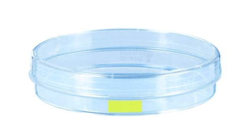 Tissue culture dish, (xH): 100 x 20 mm, surface: Cell+