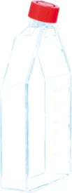 Cell culture flask, T-175, surface: Standard, Filter cap