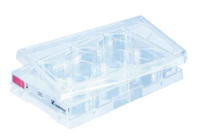 Cell culture plate, 6 well, surface: Standard, flat base