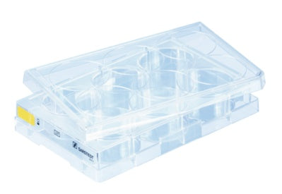 Cell culture plate, 6 well, surface: Cell+, flat base