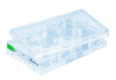 Cell culture plate, 6 well, surface: Suspension, flat base