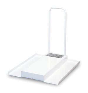 Wheelchair Ramp Kit