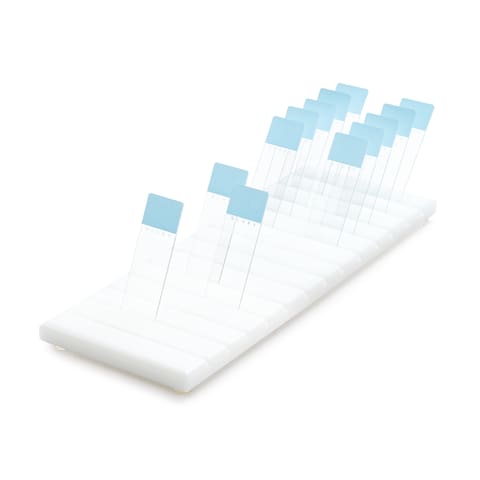 Slide Holder, 11.75"L x 4"W x 1"H • Holds approx. 13 horizontally and 52 vertically