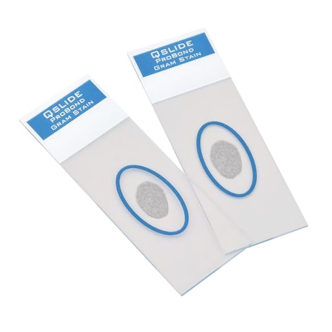 Control Slides for GramPRO