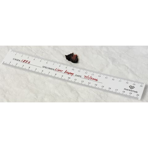 Bio-Ruler • Paper • 20 Pads