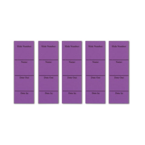 In/Out Cards, For Microscope Slide Box • Purple