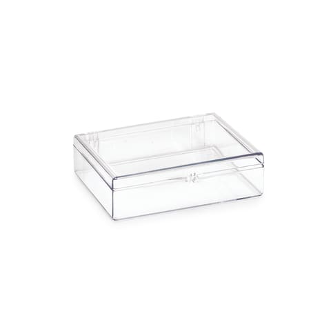 Western Blot Box , 8.9cm W x 11.7cm L x 2.8cm H • Clear