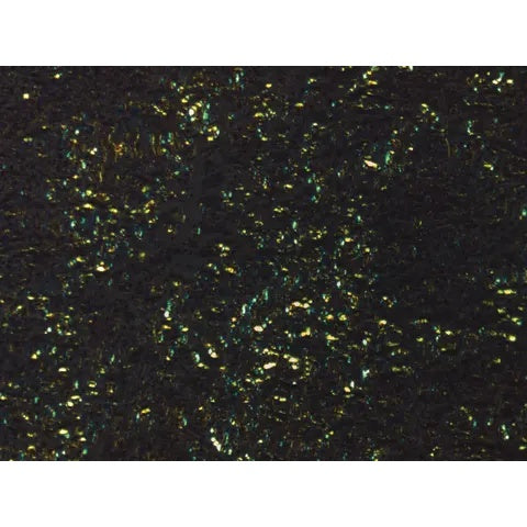 Control Slides, Amyloid Animal Pos