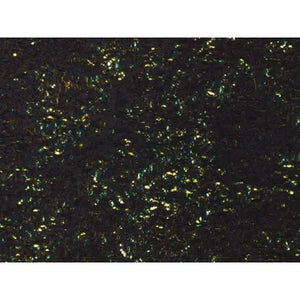 Control Slides, Amyloid Animal Pos