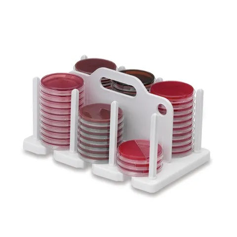 Molded 100mm Plate Rack • 13"L x 8"W x 7"H