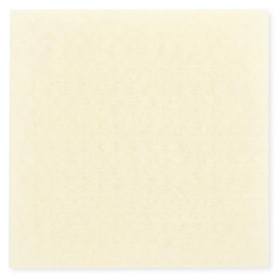 HOLLISTER RESTORE CALCIUM ALGINATE 2X2"