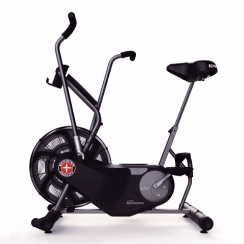 Schwinn AD6 Airdyne Bike