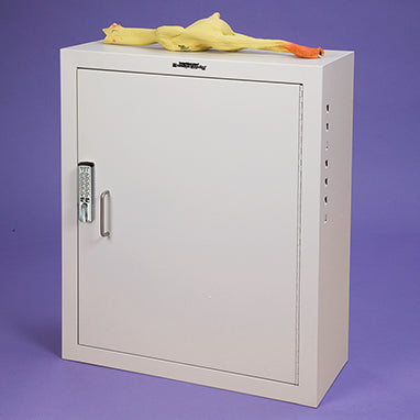 Health Care Logistics Narcotic Cabinet with Keyless Entry Digital Lock, 1 Door