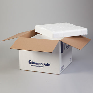 Health Care Logistics Insulated Transport Box, Large