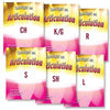 Spotlight on Articulation: 6-Book Set