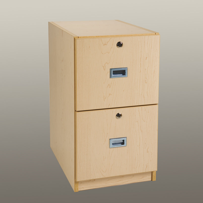 Health Care Logistics File Cabinet, Locking, Two-Drawer - 5139WW